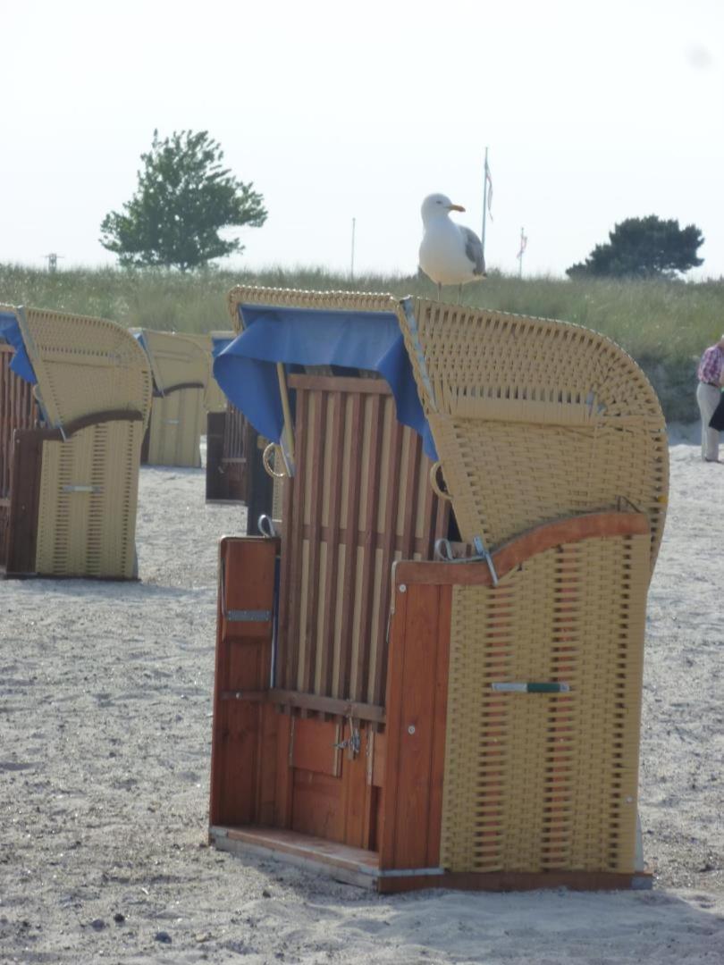 Traumhafter Ostsee-Ausblick, Fewo Direkt Am Strand Fehmarn Exterior foto